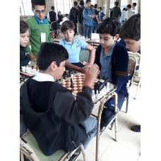 Liga de Ajedrez